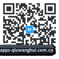 系统版 Android 二维码